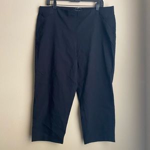 Style & Co. Cropped Dressy Slacks XL
